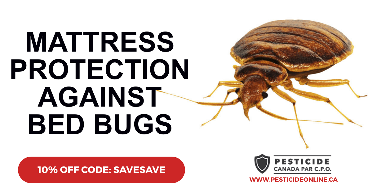 mattress protection against bed bugs